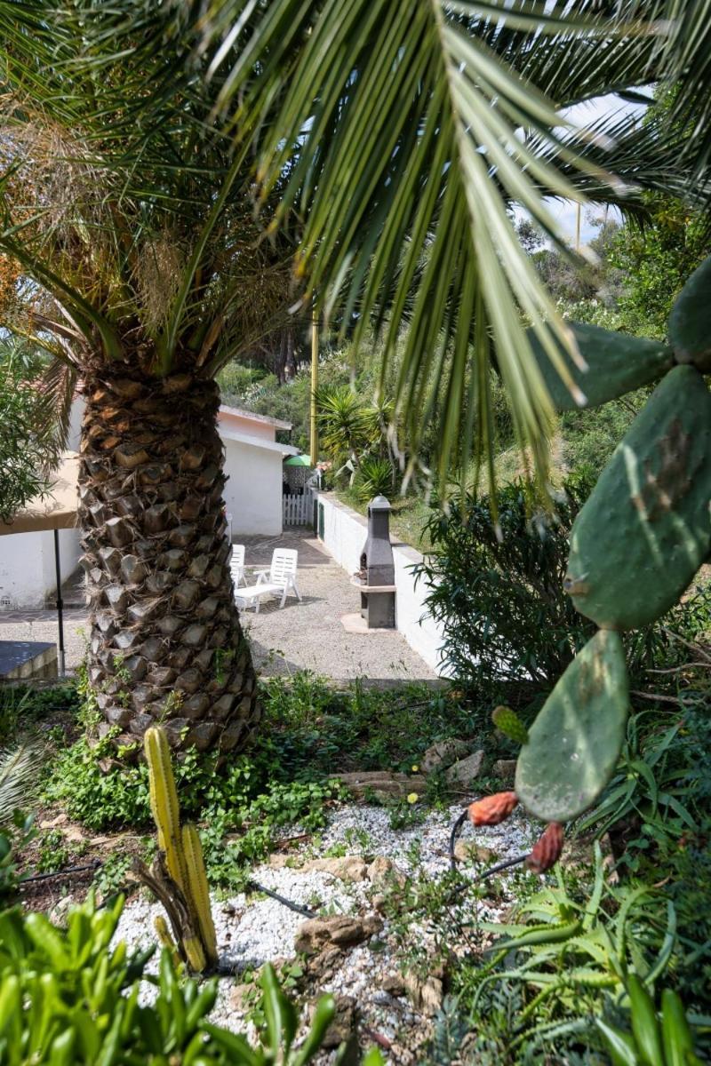 Alloggi Del Mirto A Morcone - Goelba كابوليفيري المظهر الخارجي الصورة
