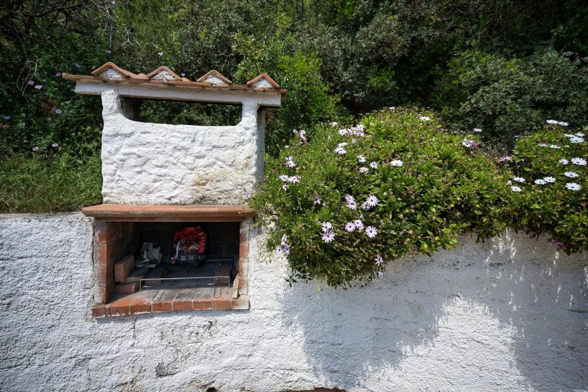 Alloggi Del Mirto A Morcone - Goelba كابوليفيري المظهر الخارجي الصورة